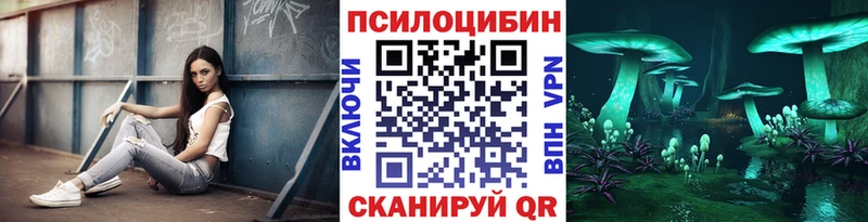 Галлюциногенные грибы Psilocybine cubensis  Полесск 
